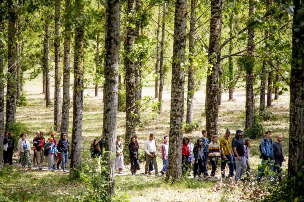 retreatants doing a walking meditation