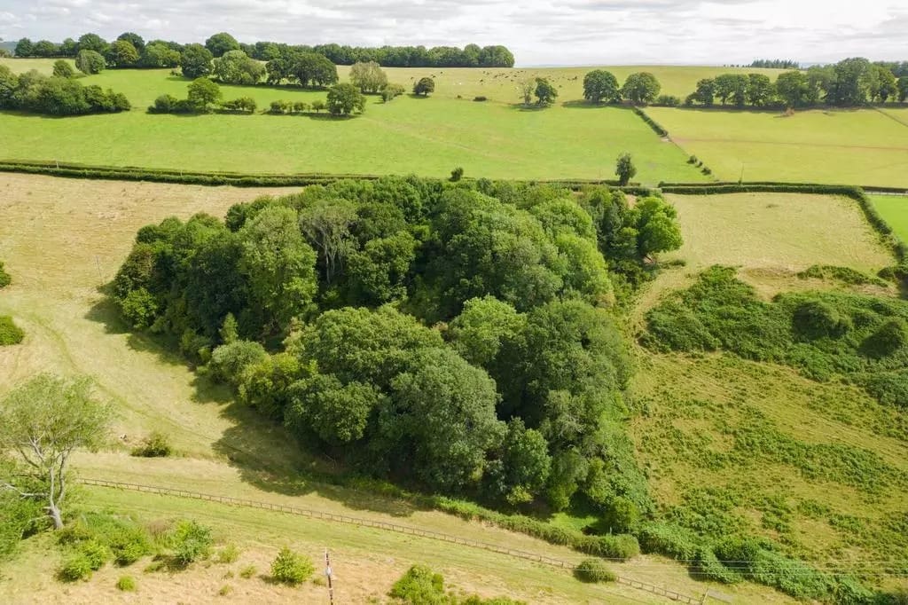 aerial of 5 acres of woodland at abenhall