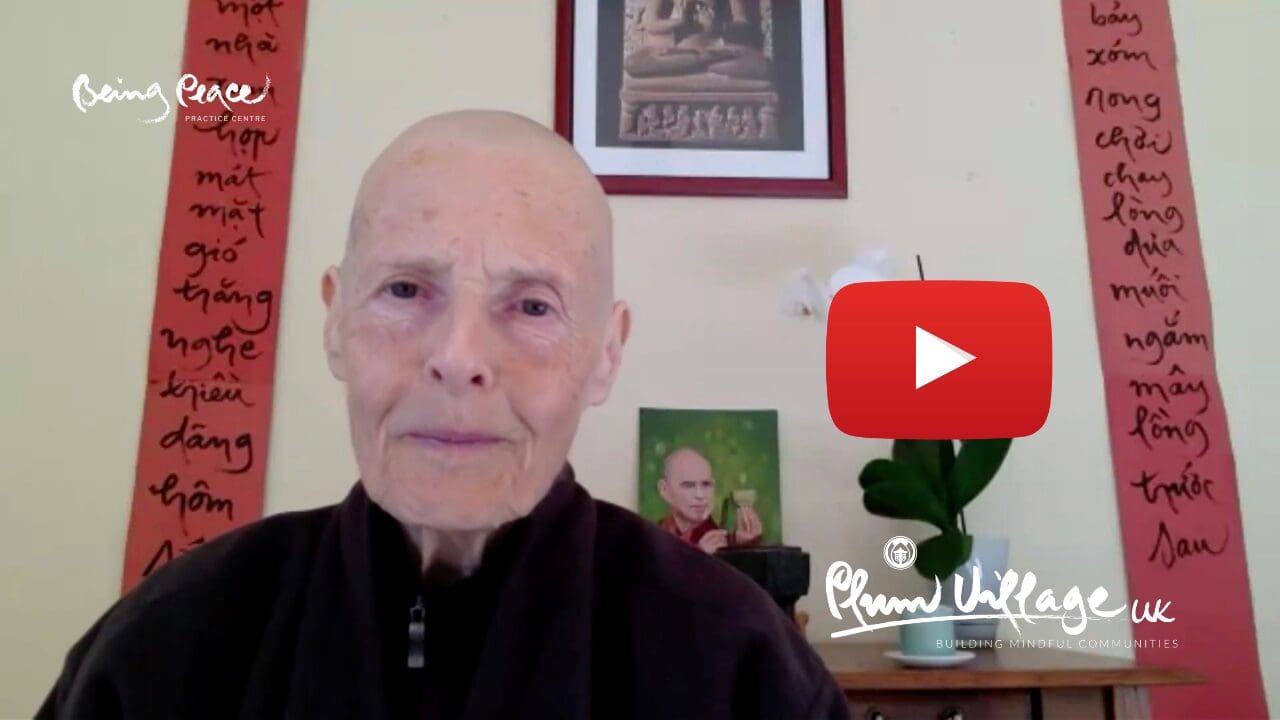 Image of Sister Annabel wearing brown monastic robes, sitting in front of beige wall, with a flower, Vietnamese writing and an image of Thich Nhat Hanh behind her. 